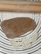 Load image into Gallery viewer, Owel with Mail