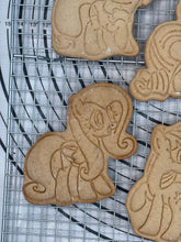 Load image into Gallery viewer, Fluttershy