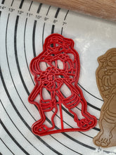 Load image into Gallery viewer, Raphael