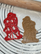 Load image into Gallery viewer, Raphael