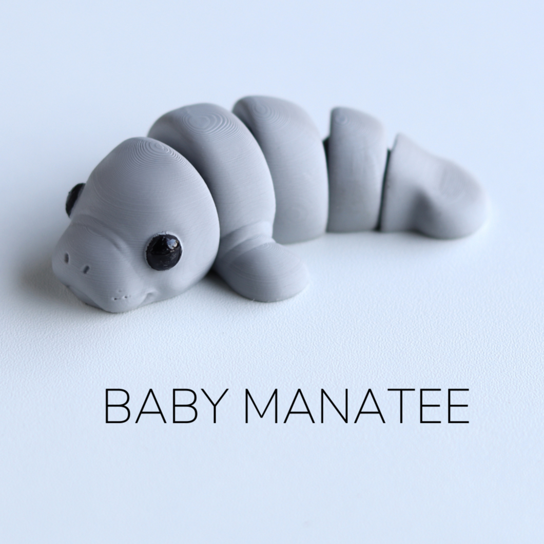 Baby Manatee