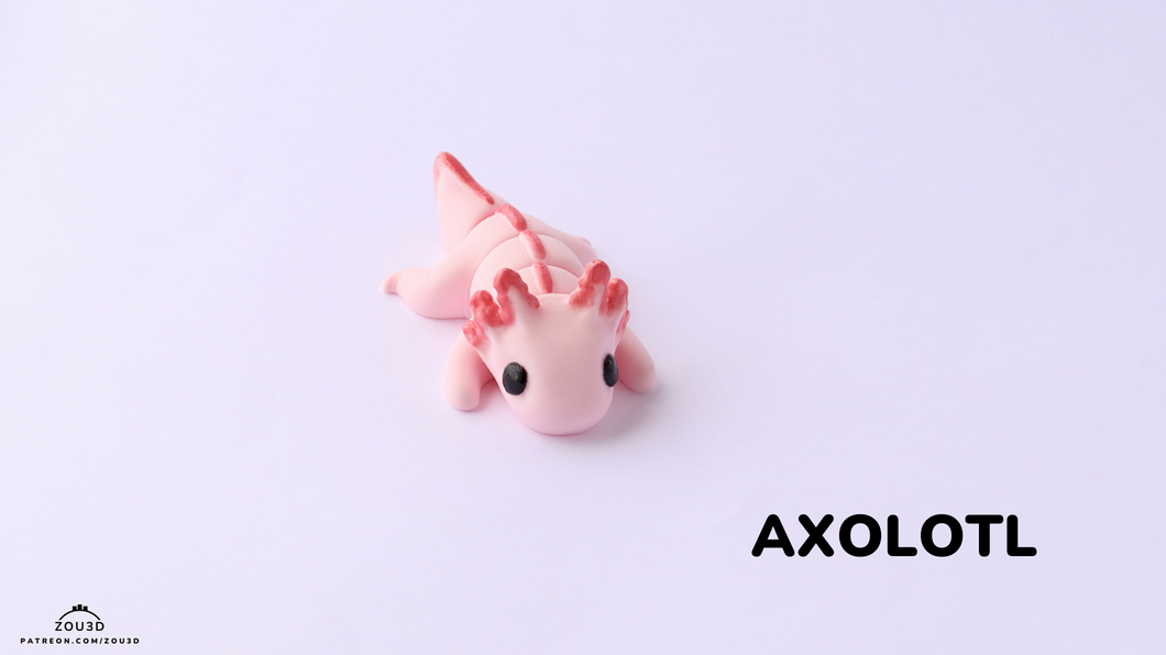 Axolotl