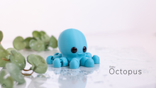 Load image into Gallery viewer, Baby Octopus
