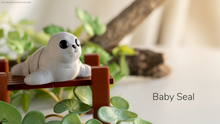 Load image into Gallery viewer, Baby Seal
