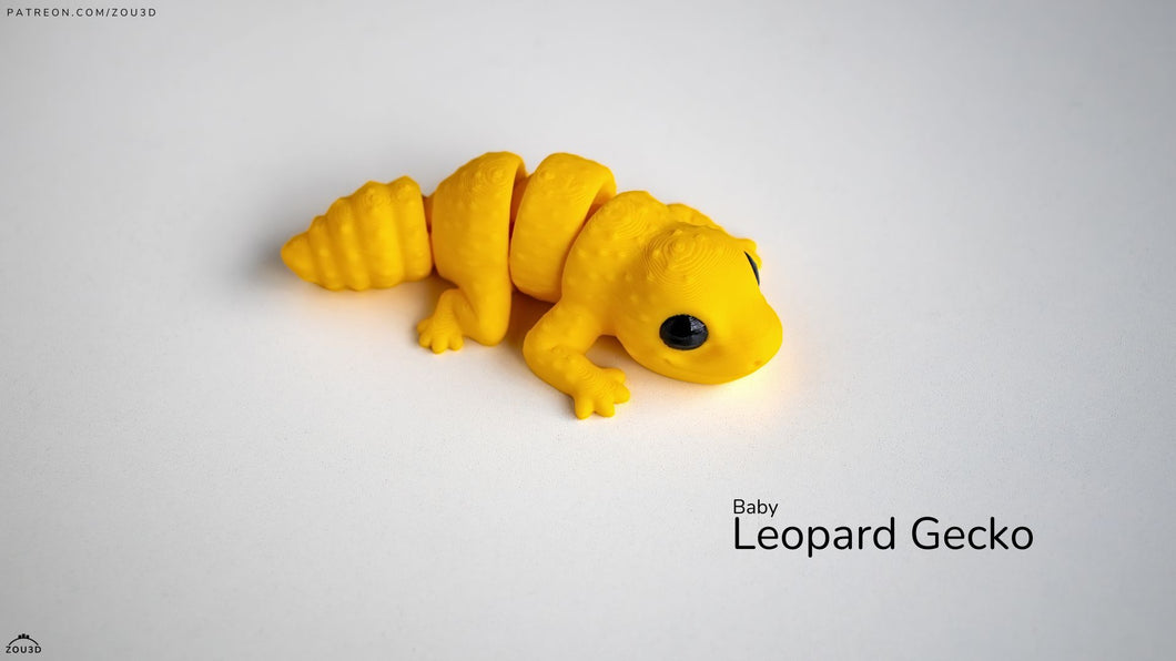 Baby Loepard Gecko