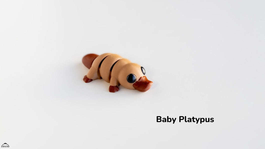 Baby platypus