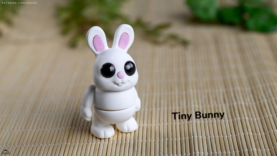 Tiny Bunny