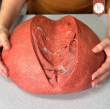 Load image into Gallery viewer, Beet Sourdough Challah + Lievito Madre Recipe
