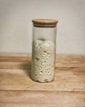 Load image into Gallery viewer, “Whole Wheat” Sourdough Starter *Kosher Pareve (1.7oz / 50g)
